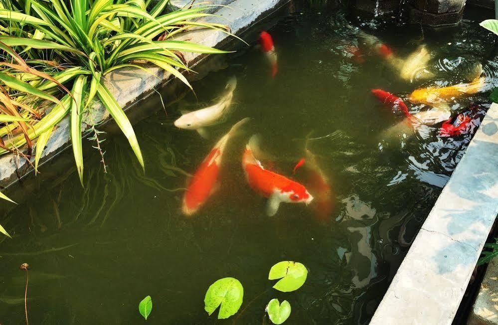 Hotel Zak Residencia Chiang Mai Exterior foto